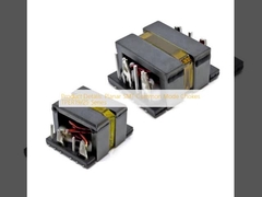 Dettagli del prodotto: strusciatori a modalità comune SMT pianali serie TPER19/25